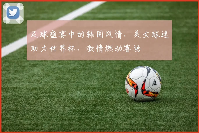 足球盛宴中的韩国风情，美女球迷助力世界杯，激情燃动赛场